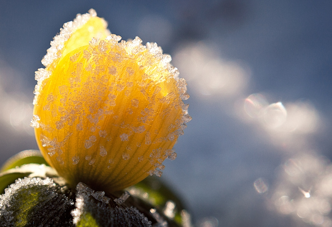&rarr; Veranstaltungen Großlöbichau